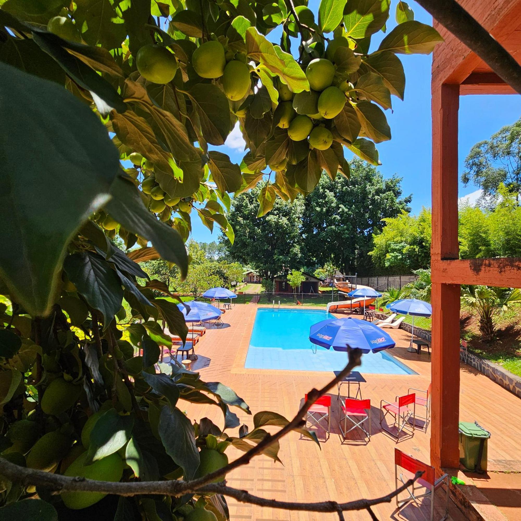 Cabanas El Refugio Del Mensu Puerto Iguazú Eksteriør billede
